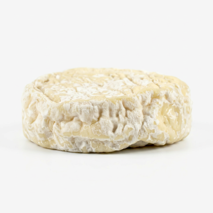 Saint Félicien | Cow's Milk | Animal Rennet | France